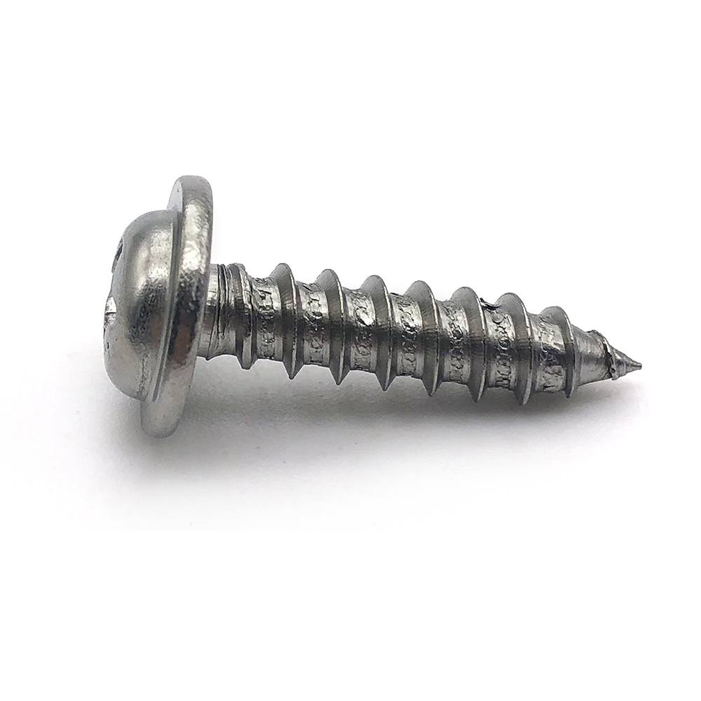 Chuanghe - Factory Price Stainless Steel SS304 Cross Recessed Pan Head Tapping Screws,Phillips Screws Self-tapping screw 3