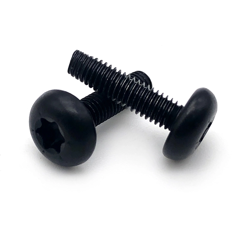 Chuanghe - China Supplier M1 M2 M3 M4 M5 M6 M7 M8 Torx Socket Stainless Steel Black Oxide Pan Head Machine Torx Screws Torx screw 1