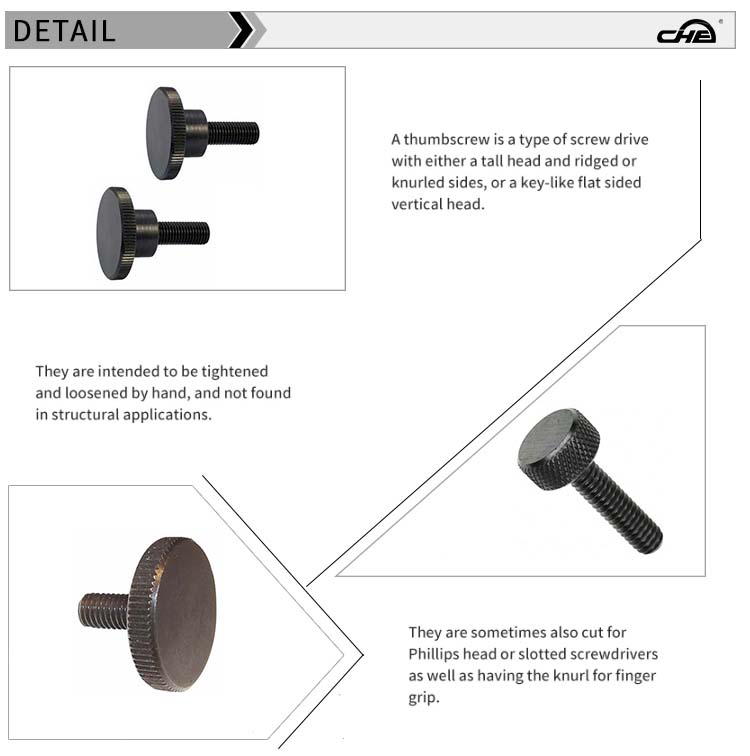 Chuanghe - China manufacturer 3/8 1/4-20 8-32 5/8-20 stainless steel hand thumb screw m3 m4 m5 m6 m8 aluminum brass knurled thumb screw Thumb screw 8