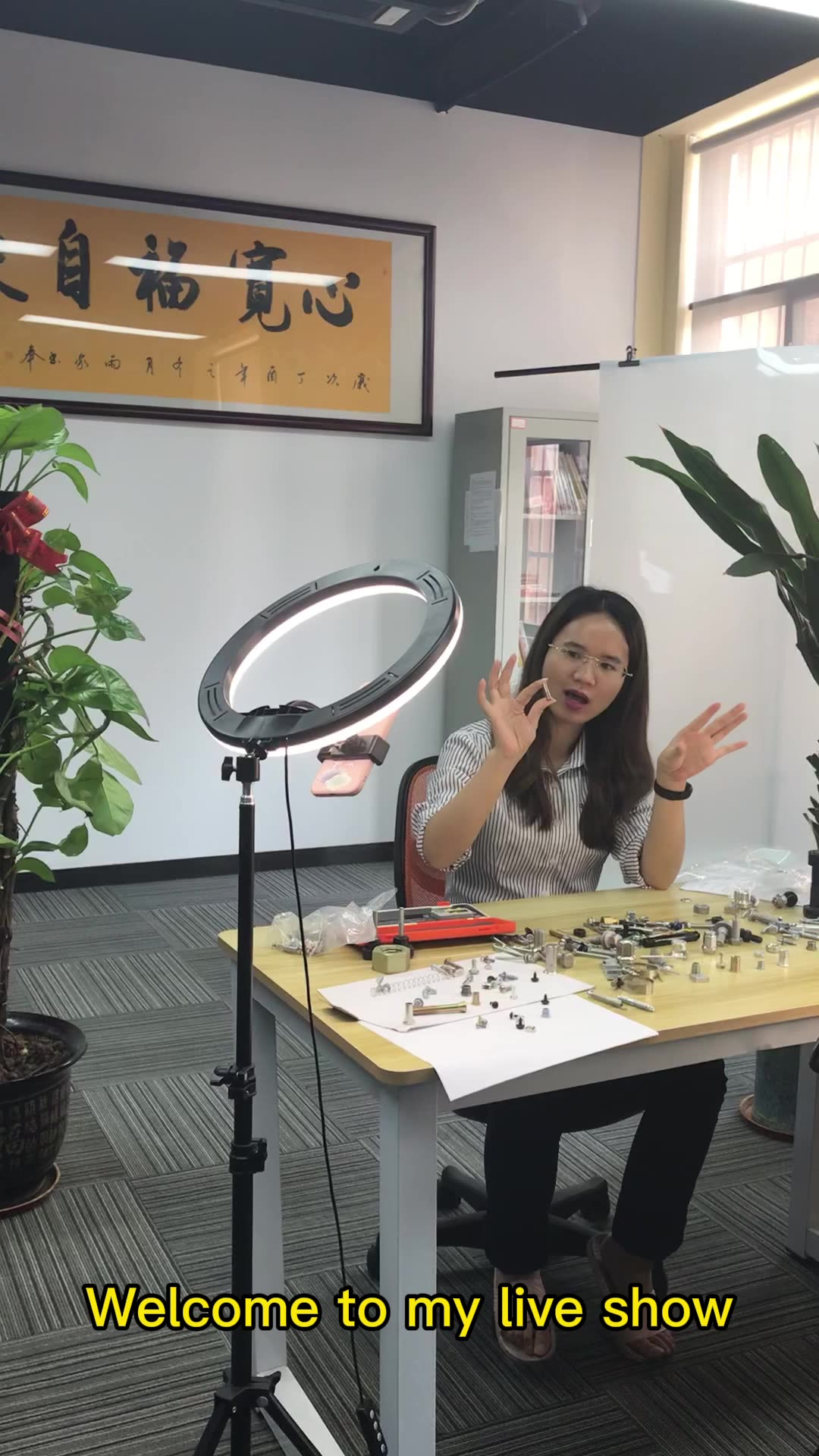 Chuanghe Fastener | New stainless steel chicago screws producer 8