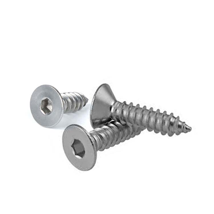 Chuanghe - China Metal 10mm Self-Tapping Thread Screw Manufacturer Custom stainless steel M1/M6 Self Tapping Fasteners Screws Self-tapping screw 3