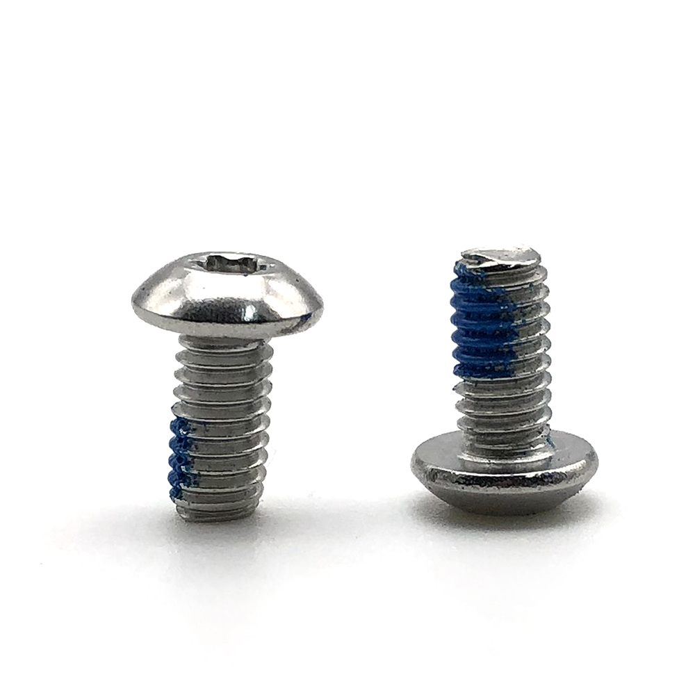 Chuanghe - China wholesale stainless steel round pan head m6 m9 #8 m4.2 galvanized security anti-theft nylon lock patch torx screw Torx screw 1
