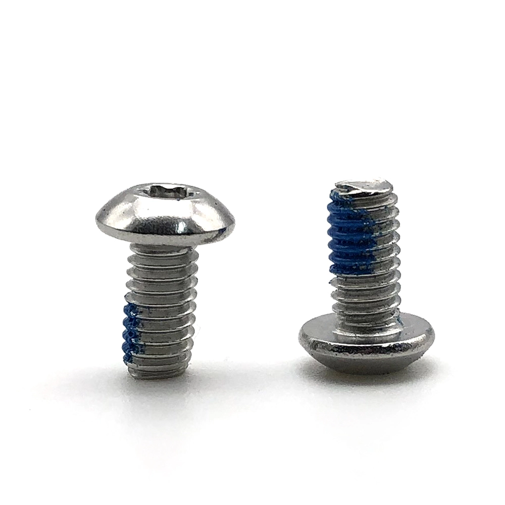 Chuanghe - China wholesale stainless steel round pan head m6 m9 #8 m4.2 galvanized security anti-theft nylon lock patch torx screw Torx screw 1