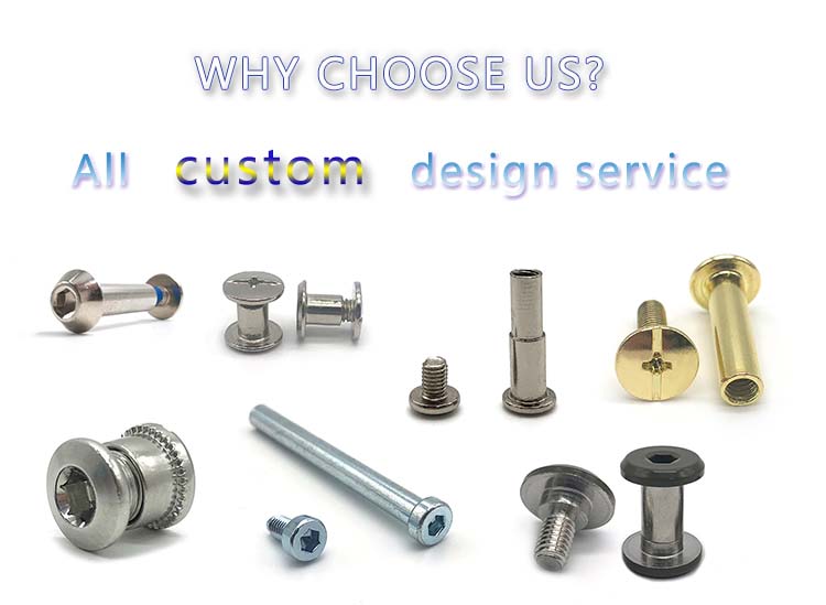 best stainless chicago screws for business | Chuanghe Fastener 4