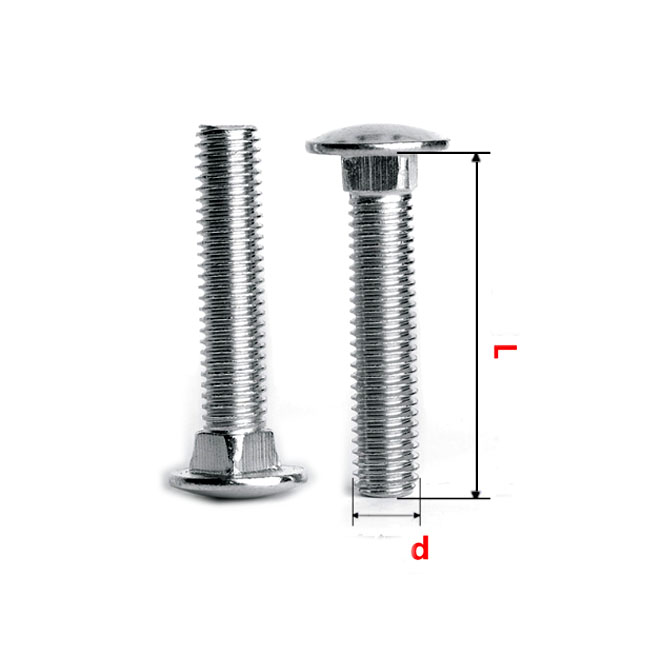 Chuanghe - China Stainless Steel Mushroom Head Coach furniture Bolt and nut Metric Din 603 m4 m3 5mm Square Long Neck Carriage bolt Carriage bolt 3