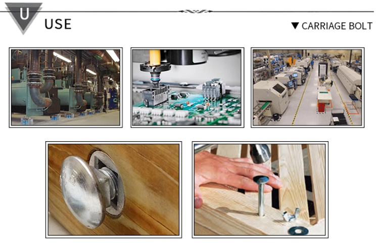 Chuanghe - Hot dip galvanized grade 8.8 m4 m6 carriage bolt factory Stainless Steel carriage bolt mushroom head bolt for fastening Carriage bolt 12