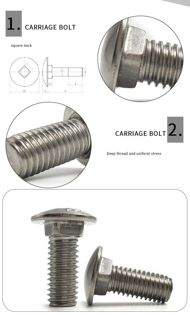 Chuanghe - China wholesale custom carriage bolt din 603 mushroom head square neck coach bolts stainless steel carriage bolt with hex nut Carriage bolt 9