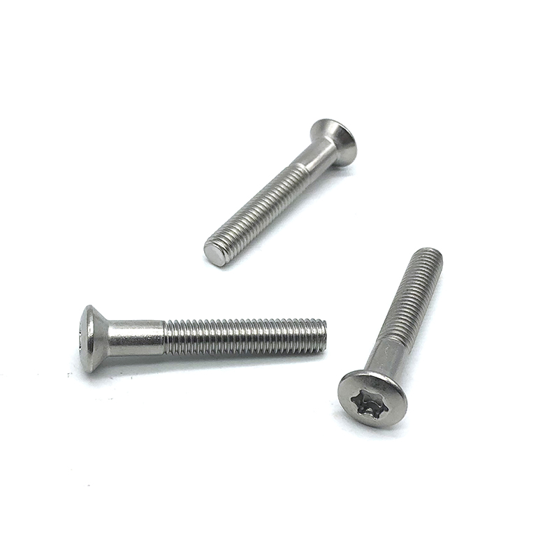 Chuanghe - China supplier custom m2 m2.5 m3 m4 m5 m6 m10 5mm 20mm metal stainless steel countersunk screw flat head torx screw Torx screw 7