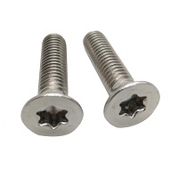 China factory direct automotive parts cnc 316 stainless steel m5 1/4-20 t9 pan head security machine screw anti-theft torx screw