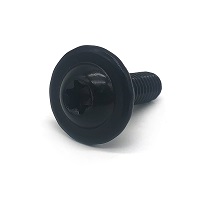 China factory direct automotive parts cnc 316 stainless steel m5 1/4-20 t9 pan head security machine screw anti-theft torx screw