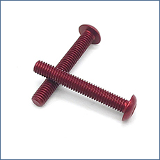 Chuanghe - China high quality plastic flat screw hollow m2 m10 plastic screw Plastic screw 11
