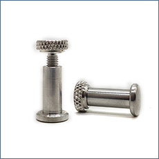 Chuanghe - China high quality plastic flat screw hollow m2 m10 plastic screw Plastic screw 12