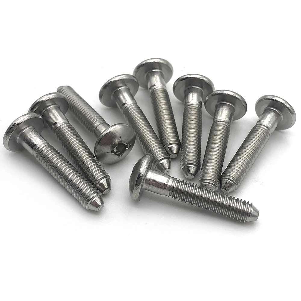 Chuanghe - Made in China anti theft roofing screw m3*3 #3 x 1/4 pan head square slot wood screws Anti-theft screw 1