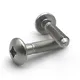 anti theft screw at Wholesale Prices | Chuanghe Fastener 3