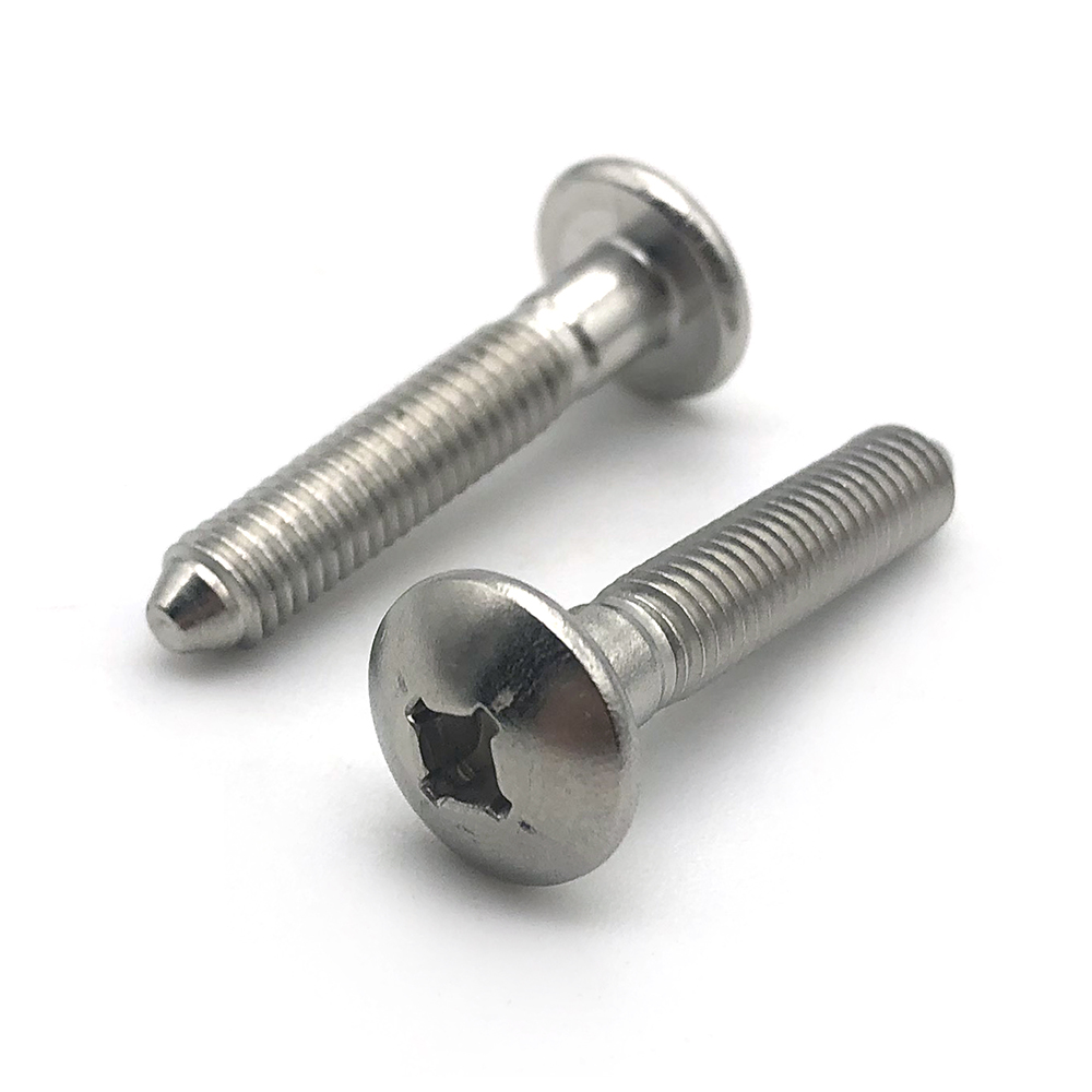 Chuanghe - Made in China anti theft roofing screw m3*3 #3 x 1/4 pan head square slot wood screws Anti-theft screw 6