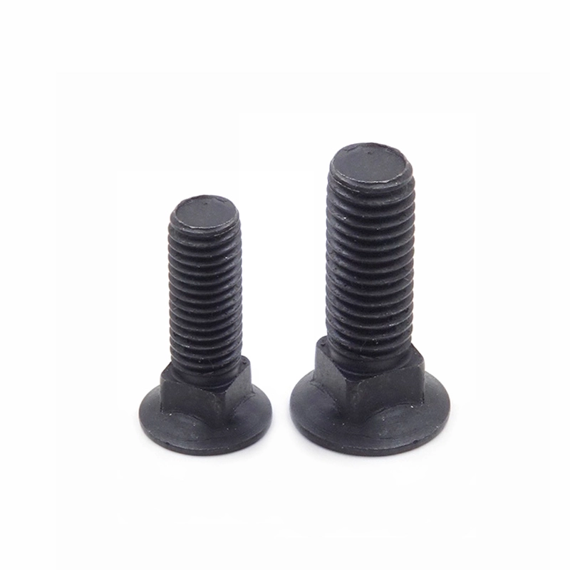 Chuanghe - China carborn steel DIN605 DIN608 M6 to M24 Black Flat countersunk head short square neck carriage bolt Carriage bolt 1
