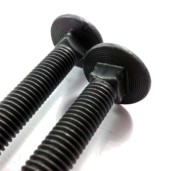 Chuanghe - China carborn steel DIN605 DIN608 M6 to M24 Black Flat countersunk head short square neck carriage bolt Carriage bolt 5