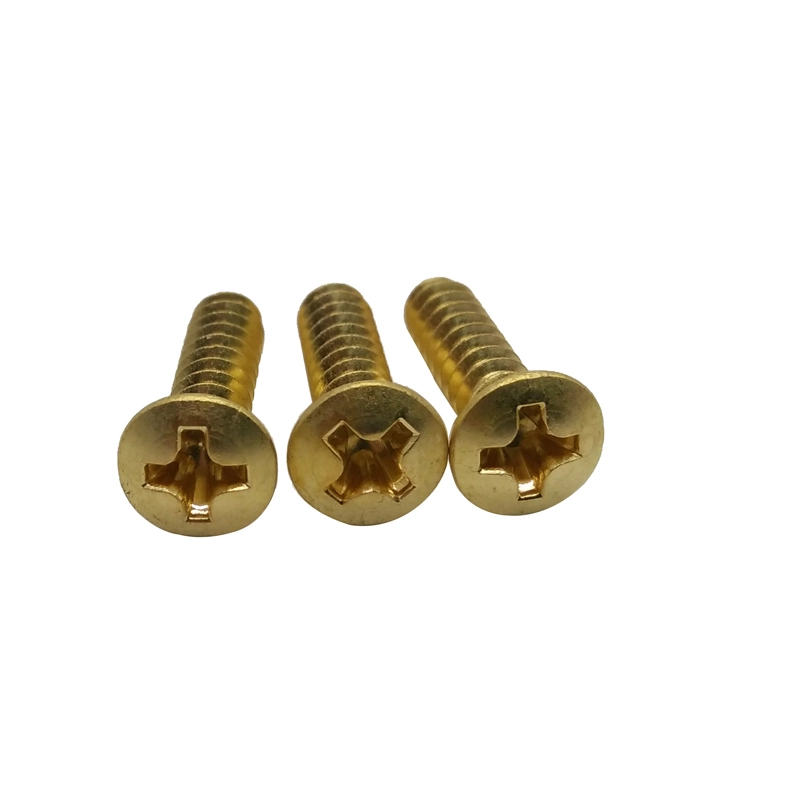 Chuanghe - OEM 50mm self tapping screws m10 brass pan head tapping screws Self-tapping screw 1