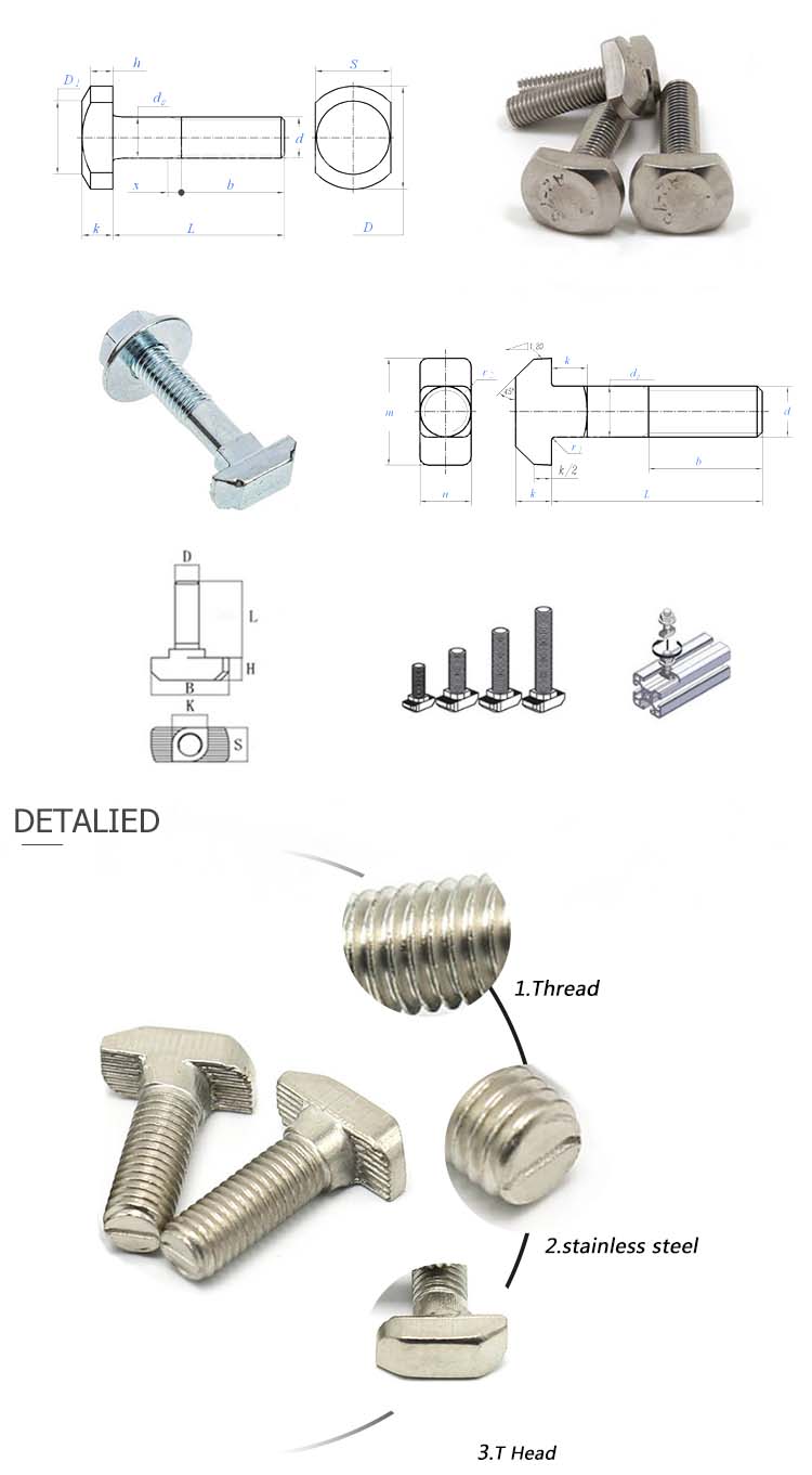 Chuanghe - 304 Stainless Steel GB37 T-Slot Bolts M5 - M20 t bolts 8