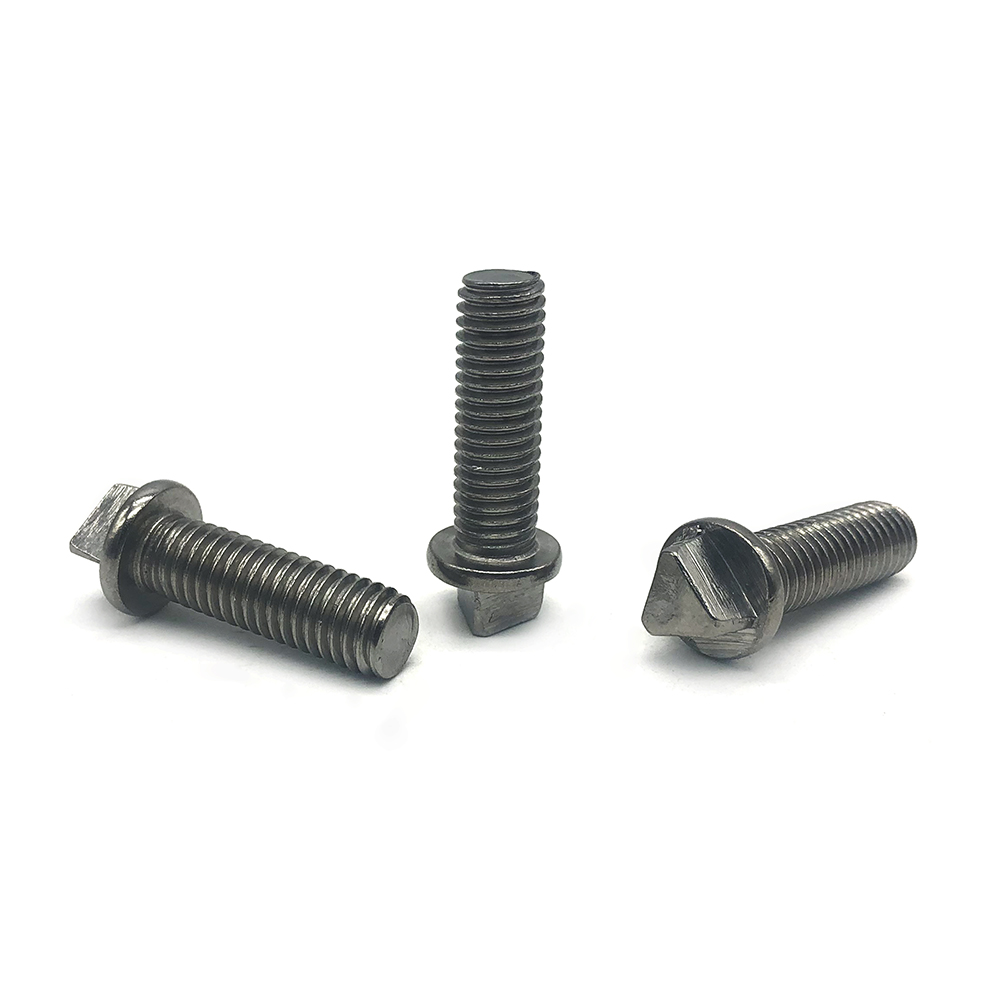 Chuanghe - SS304 SS316 Custom Stainless Steel Two Holes Snake Eyes Anti-Theft Security Screw Anti-theft screw 7