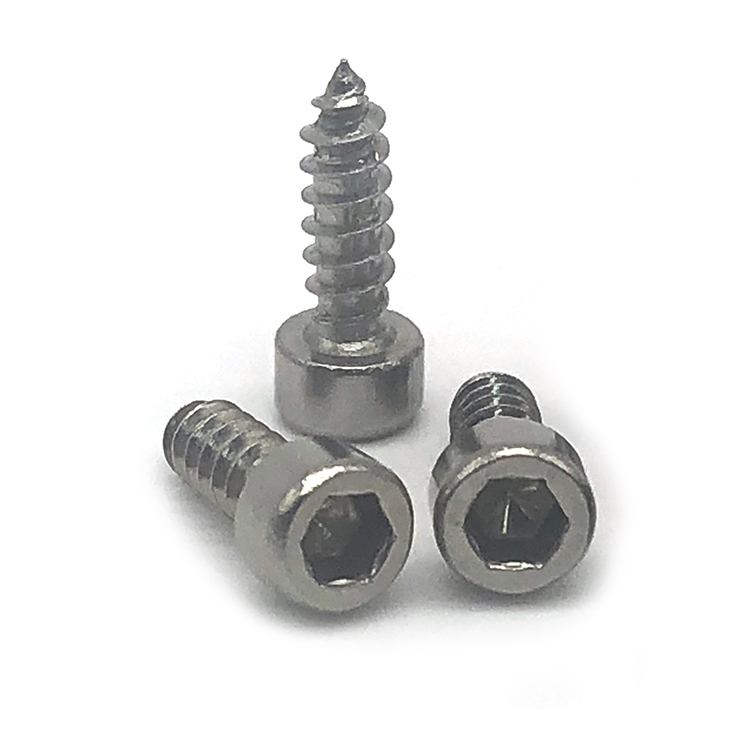 Chuanghe - Stainless Steel SS 304 M6 Wood Screw Hex Socket Allen Head Self Tapping Screws Self-tapping screw 5
