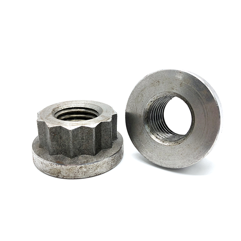 Chuanghe - High quality galvanized m12 hexagon flange nut flange nut 4