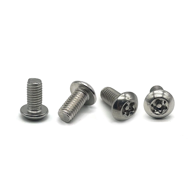 Chuanghe - Custom Pan Head T6 T8 Torx Stainless Steel Anti-theft Machine Screw Torx screw 1