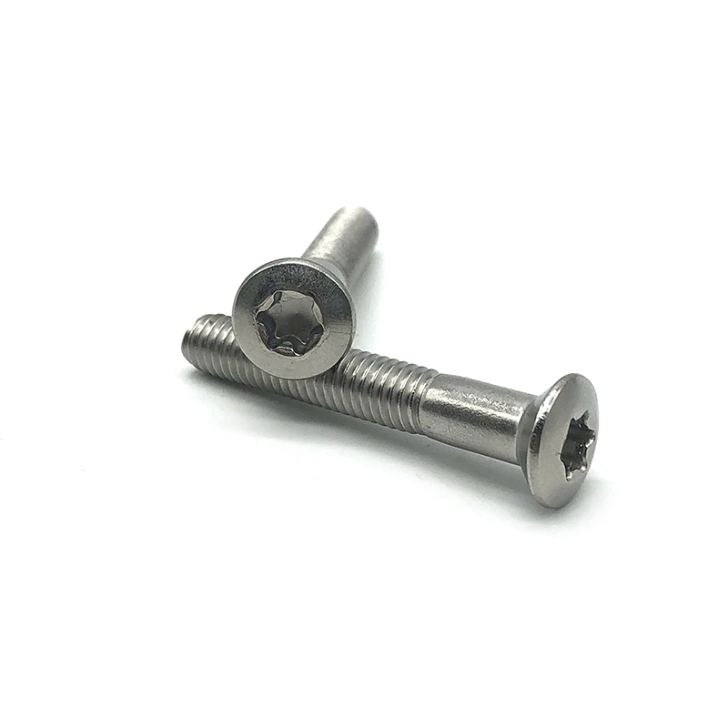 Chuanghe - Custom Pan Head T6 T8 Torx Stainless Steel Anti-theft Machine Screw Torx screw 5