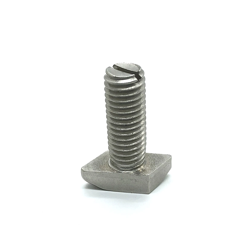Chuanghe - China fasteners din186 DIN787 t shaped bolt hammer-head t-bolt stainless steel T head bolt t bolts 1