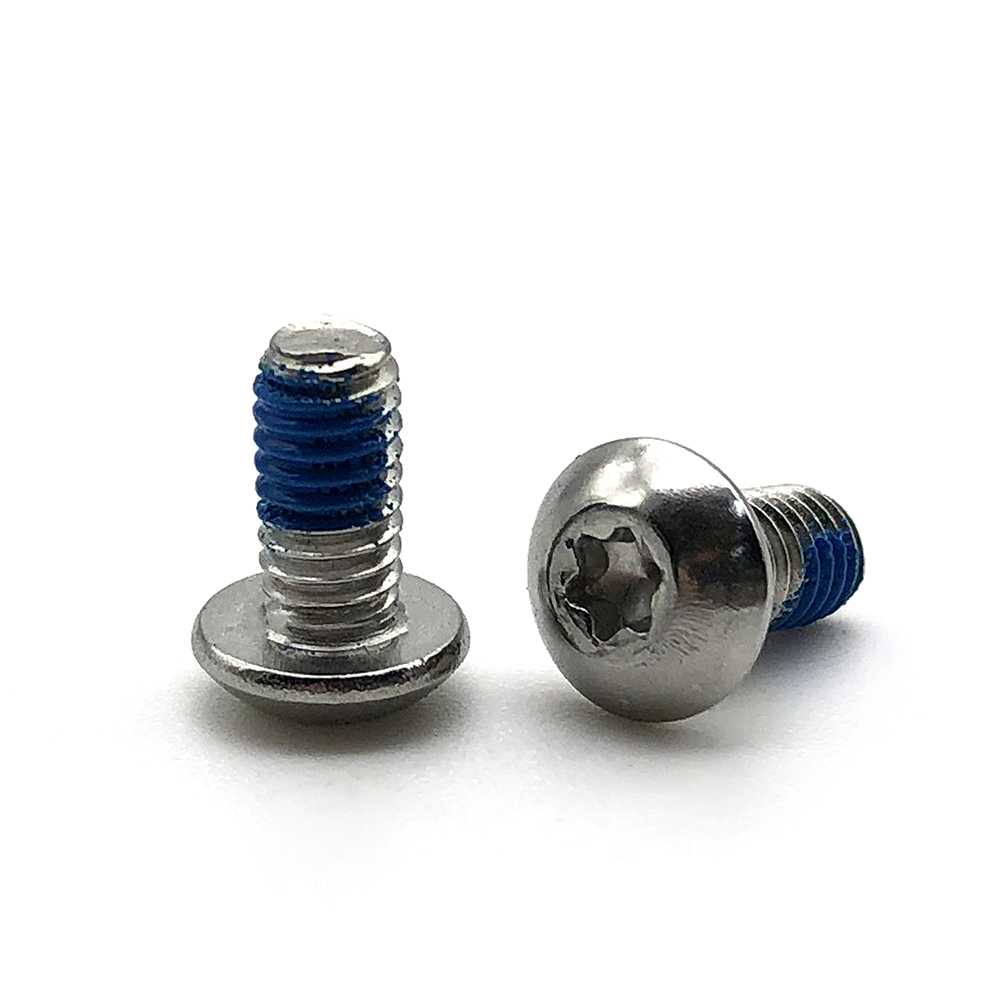 Chuanghe - China Screw Manufacture Stainless Steel Torx Recessed Pan Head Machine Screw Torx screw 5