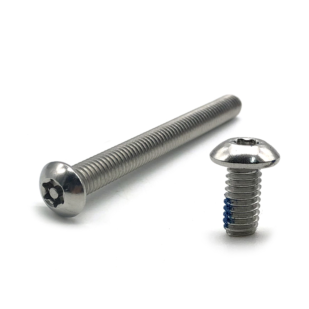 Chuanghe - China Screw Manufacture Stainless Steel Torx Recessed Pan Head Machine Screw Torx screw 6