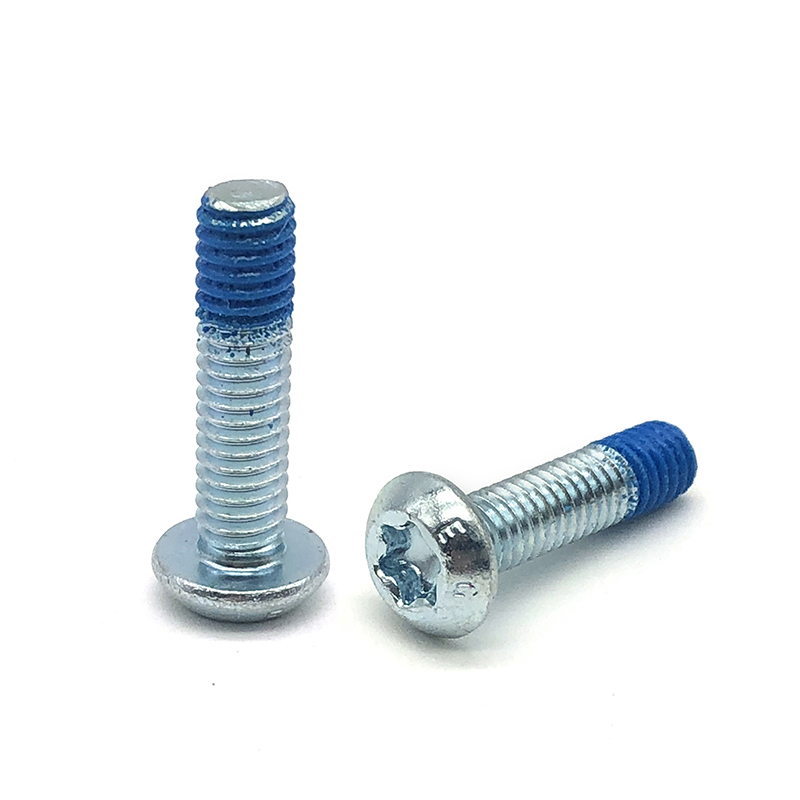 Chuanghe - China Screw Manufacture Stainless Steel Torx Recessed Pan Head Machine Screw Torx screw 7
