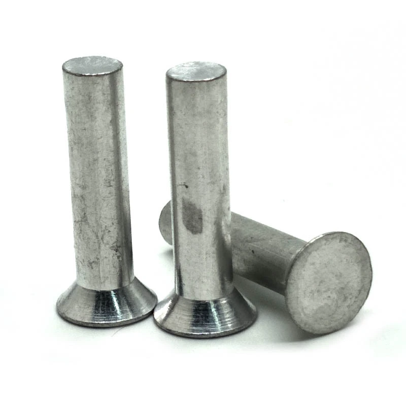 Chuanghe - High quality large flat head Aluminium stainless steel flat round head solid rivet solid rivet 1