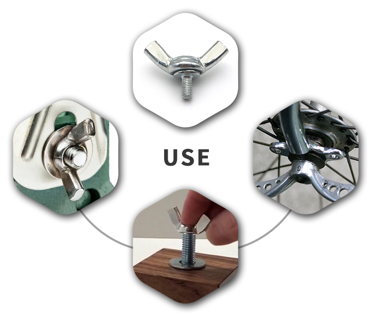 Chuanghe - Wholesale stainless steel M5 M8 butterfly wing screw Wing screw 11