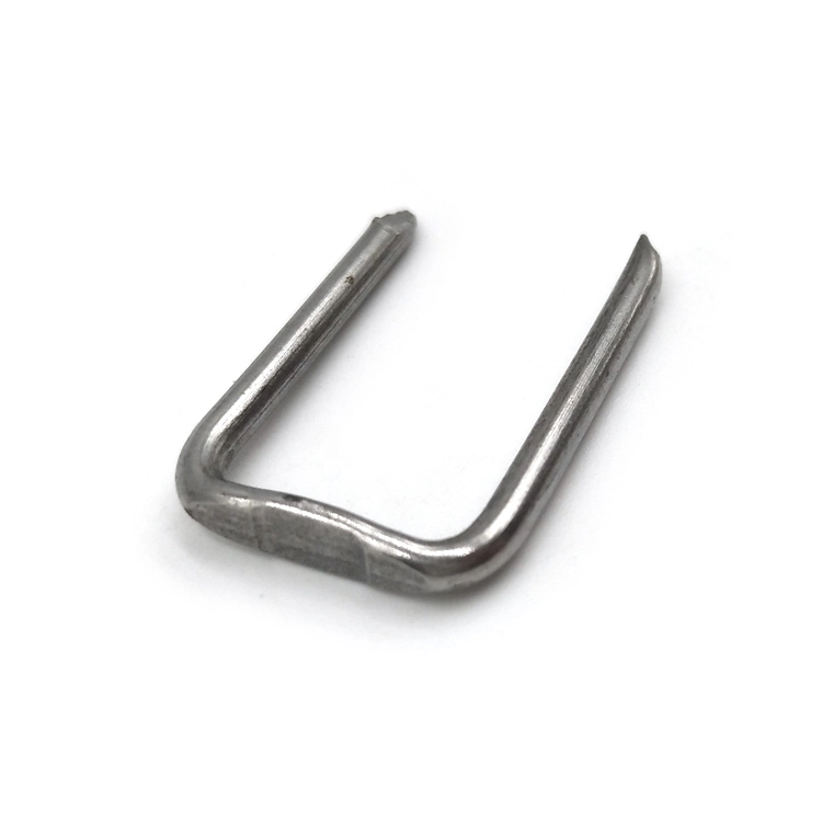 Chuanghe - Type Metal Stainless Steel Fence Staples Galvanized U-shaped U Shaped Wire Nails U-Type Nail 1