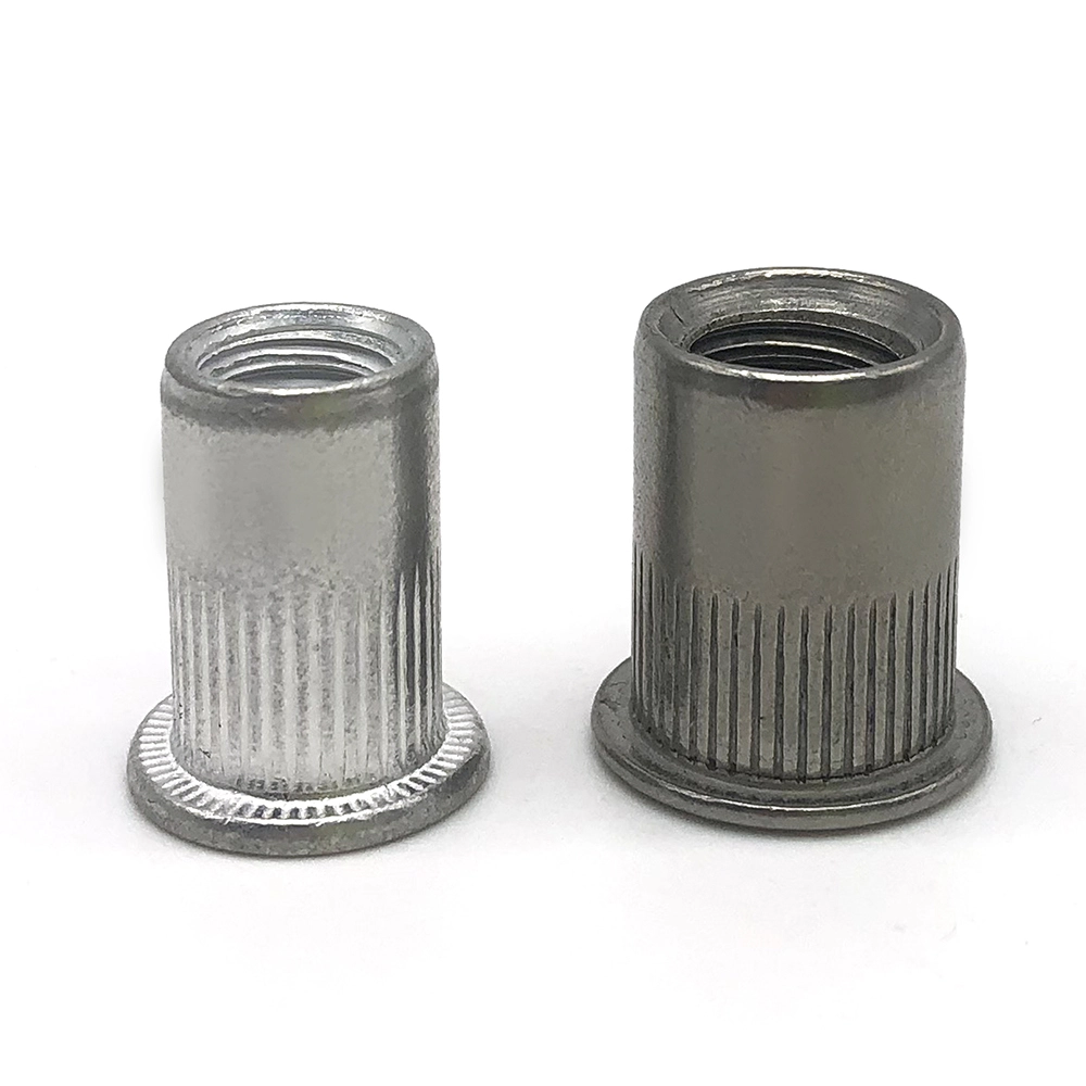 Chuanghe - Factory Good Quality 304 stainless steel Flat head rivet nut m3 m12 blind rivet nut rivet nut 1