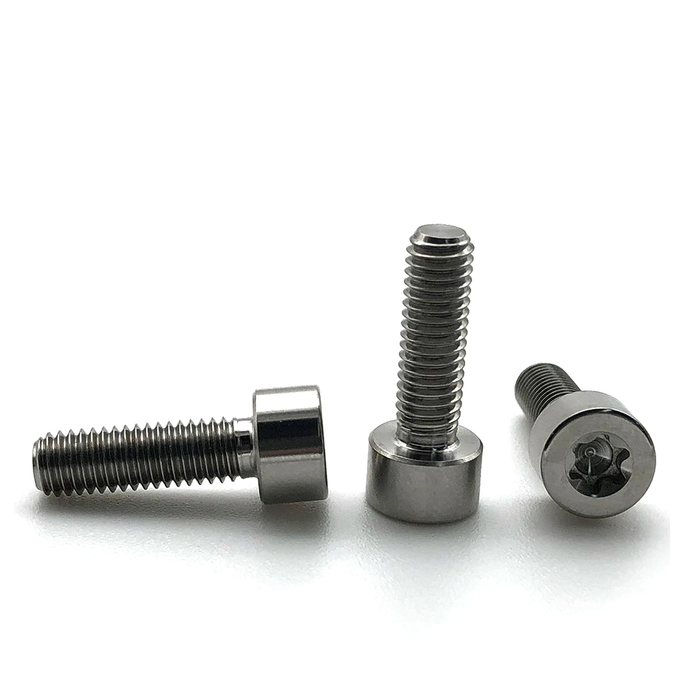 China supplier Stainless Steel custom Cheese Machine Screws cap head Torx Screw 1