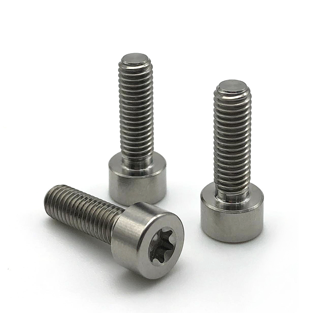 China supplier Stainless Steel custom Cheese Machine Screws cap head Torx Screw 3