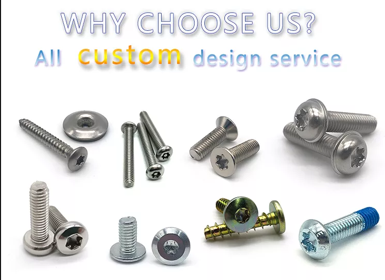 China supplier Stainless Steel custom Cheese Machine Screws cap head Torx Screw 4