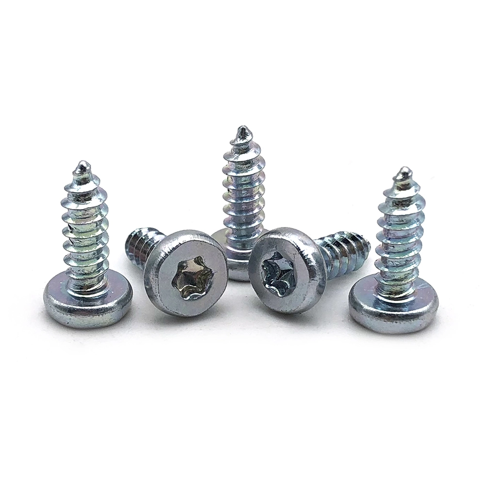Chinese Manufacture stainless steel pan head torx screws m3 m6 m8 tapping screws 1