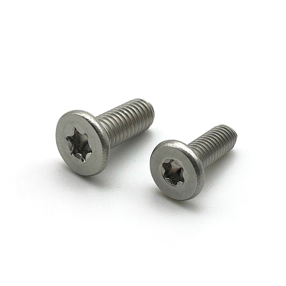 Custom made M2 M3 M4 M5 stainless steel zinc plated torx flat head screw 3