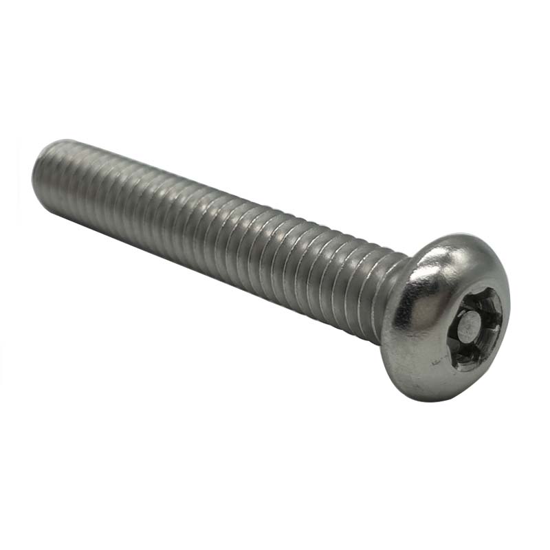 Chuanghe - China Supplier OEM custom security head bolt torx drive Anti-theft screw 1