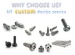 Chuanghe Fastener |  license plate security screws  4