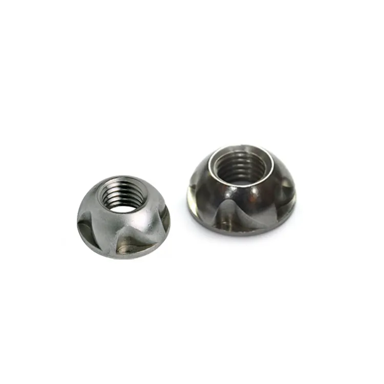 top special nuts supply | Chuanghe Fastener 3