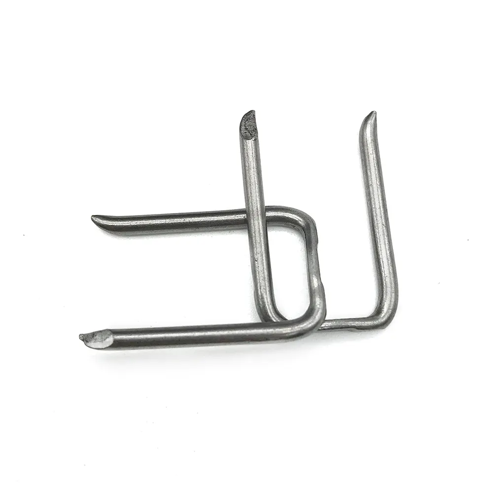 best china u type nail for business | Chuanghe Fastener 3