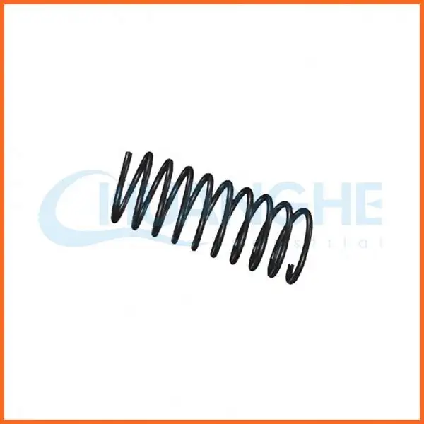 Chuanghe Fastener | New coil spring factory 7