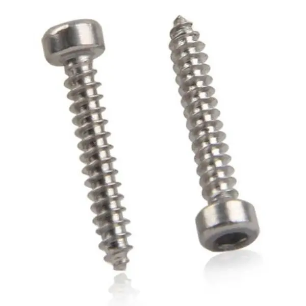 Chuanghe Fastener |  micro screws for electronics  3