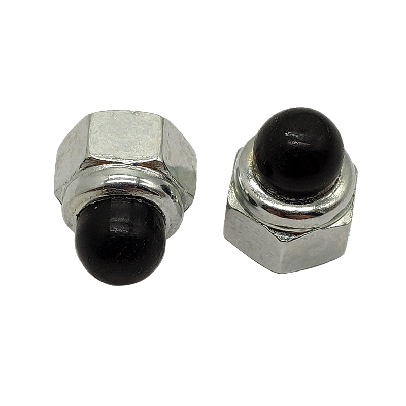  cap nuts  | Chuanghe Fastener 3