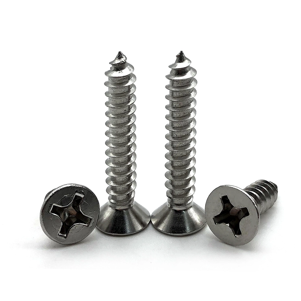 China custom Stainless steel countersunk flat csk head SS self tapping screws 1