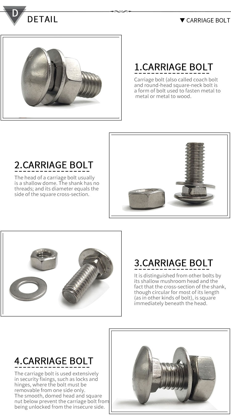 carriage-bolt-1-4_02